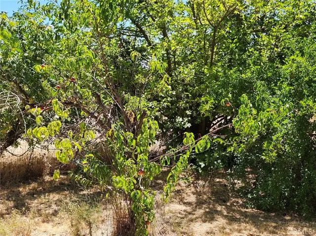 3950 Emile Avenue, Clearlake, California 95422