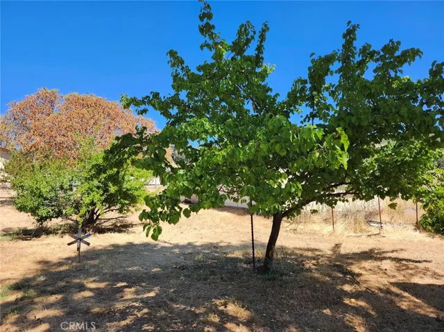 3950 Emile Avenue, Clearlake, California 95422