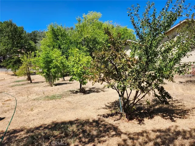 3950 Emile Avenue, Clearlake, California 95422