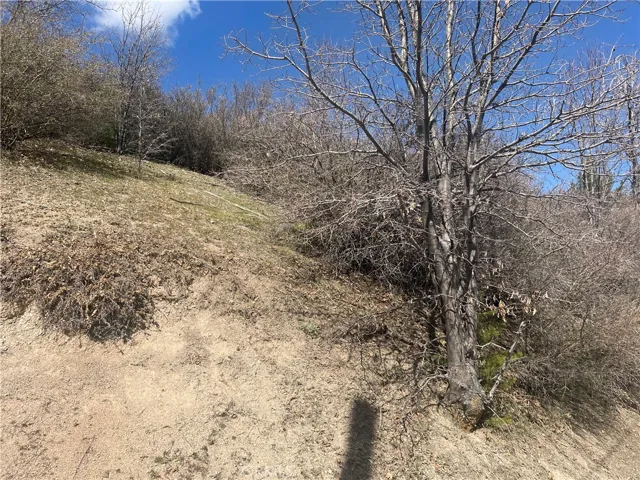 2 lots sold together