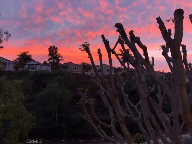 View from front porch
