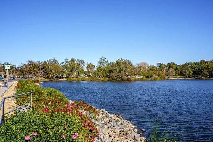 Mallard ducks and many bird species plus fishing!