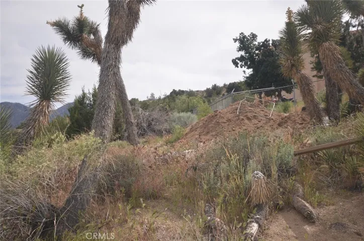 0 Longview X Old Homestead, Juniper Hills, California 93553