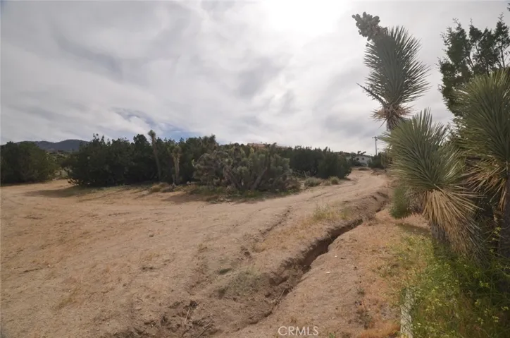 0 Longview X Old Homestead, Juniper Hills, California 93553