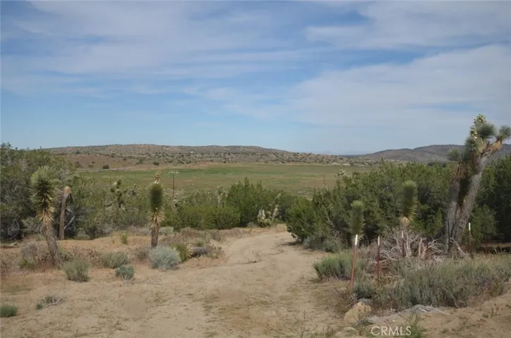 0 Longview X Old Homestead, Juniper Hills, California 93553