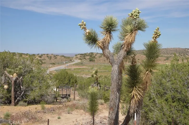 0 Longview X Old Homestead, Juniper Hills, California 93553