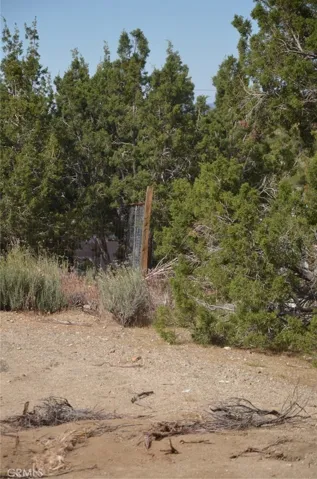 0 Longview X Old Homestead, Juniper Hills, California 93553