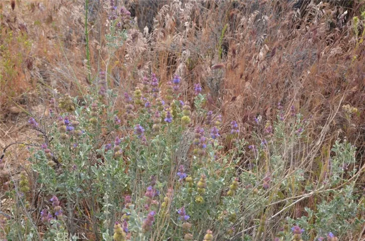 0 Longview X Old Homestead, Juniper Hills, California 93553