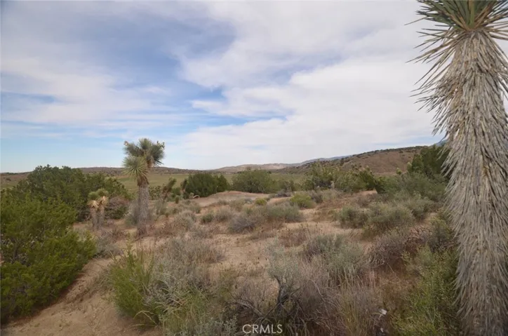 0 Longview X Old Homestead, Juniper Hills, California 93553