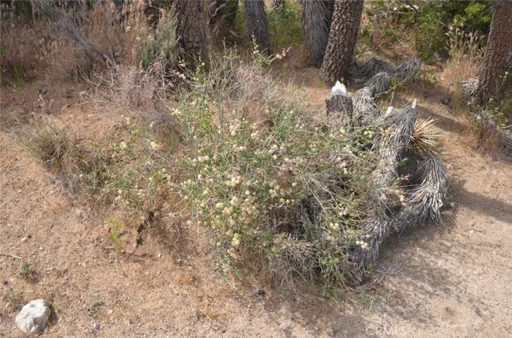 0 Longview X Old Homestead, Juniper Hills, California 93553