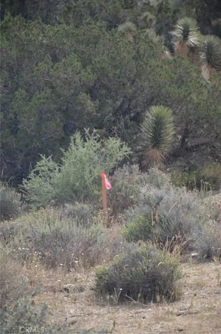 0 Longview X Old Homestead, Juniper Hills, California 93553