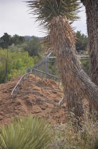 0 Longview X Old Homestead, Juniper Hills, California 93553