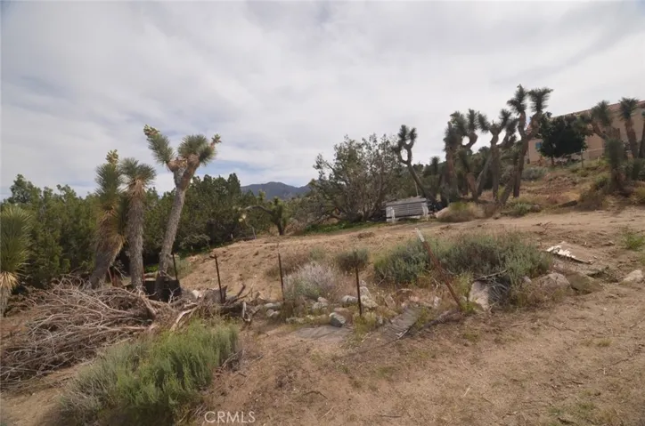 0 Longview X Old Homestead, Juniper Hills, California 93553