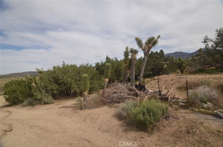 0 Longview X Old Homestead, Juniper Hills, California 93553