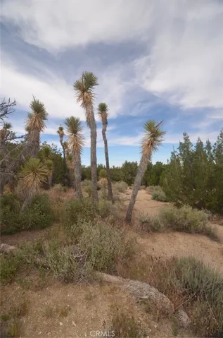 0 Longview X Old Homestead, Juniper Hills, California 93553