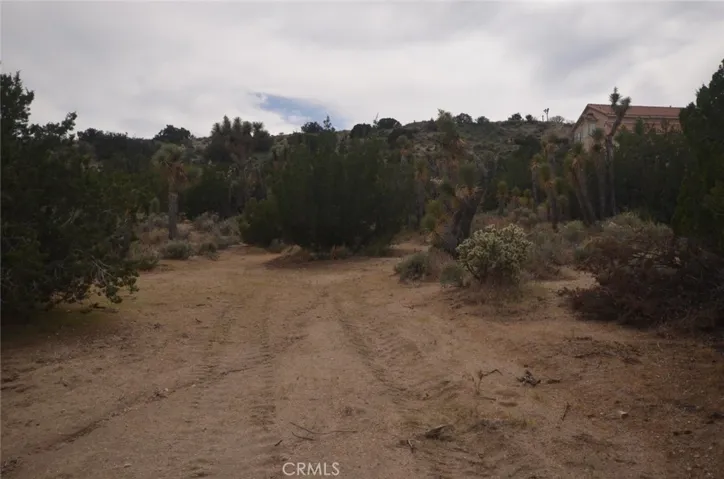 0 Longview X Old Homestead, Juniper Hills, California 93553