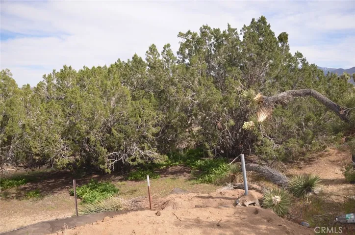 0 Longview X Old Homestead, Juniper Hills, California 93553