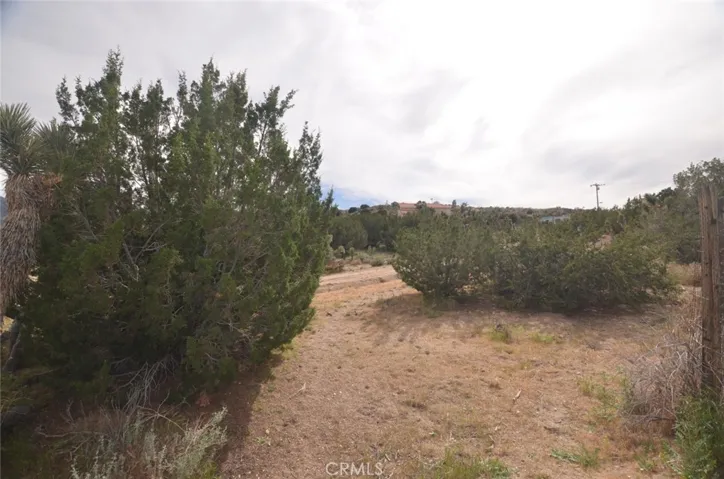 0 Longview X Old Homestead, Juniper Hills, California 93553
