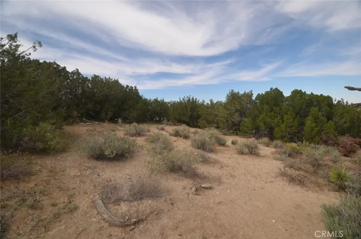 0 Longview X Old Homestead, Juniper Hills, California 93553