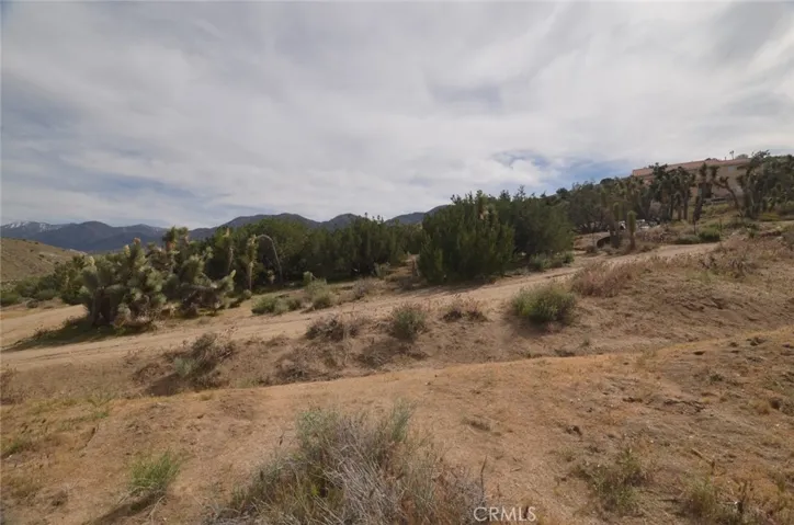 0 Longview X Old Homestead, Juniper Hills, California 93553