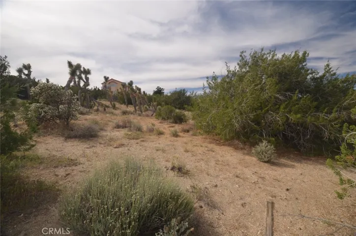 0 Longview X Old Homestead, Juniper Hills, California 93553