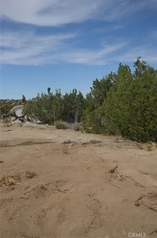 0 Longview X Old Homestead, Juniper Hills, California 93553