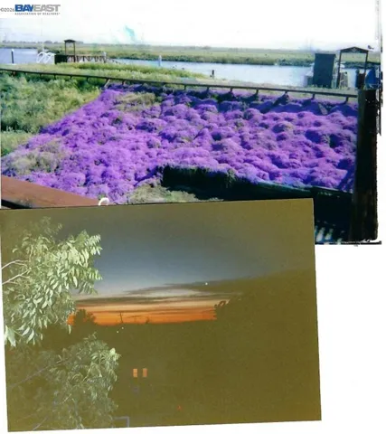 Old photos of property when Owner lived at property