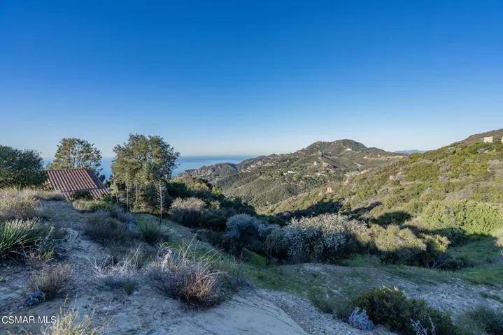 7-web-or-mls-_CK10482