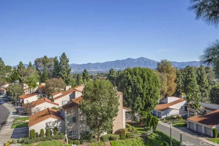 Pretty view from the patio deck.