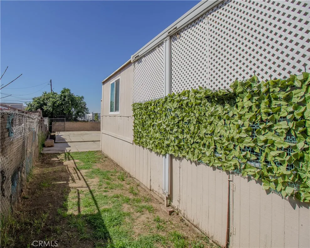 Side Yard
