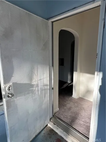 Front security door