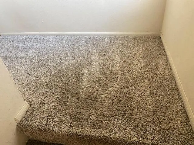 89C2AA83-473E-4D3D-B77E-28CB76249321