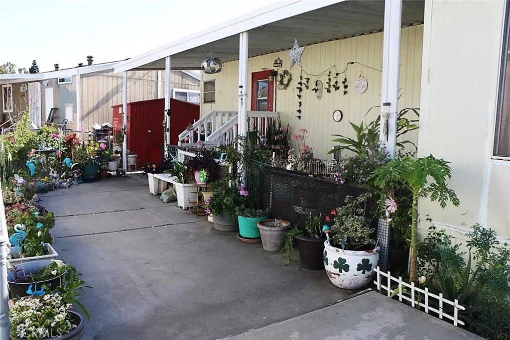 Side yard