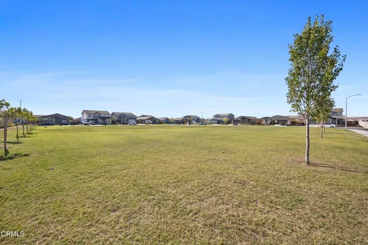 37-Illuminate Photography - 7811 Cuyama