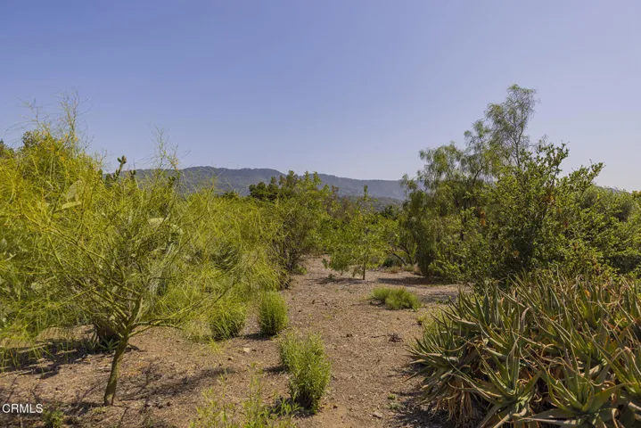 S8C_Hendrickson lot_004