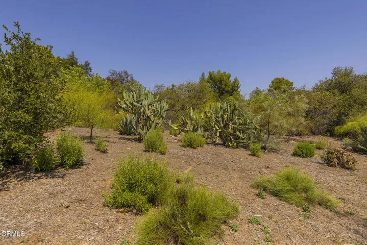 S8C_Hendrickson lot_010