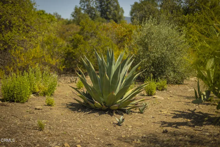 S8C_Hendrickson lot_011
