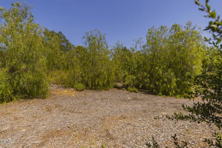 S8C_Hendrickson lot_008