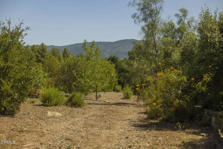 S8C_Hendrickson lot_013