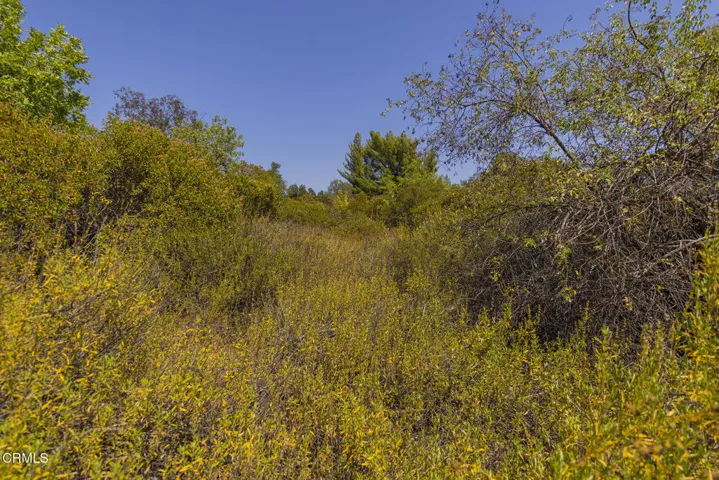 S8C_Hendrickson lot_005