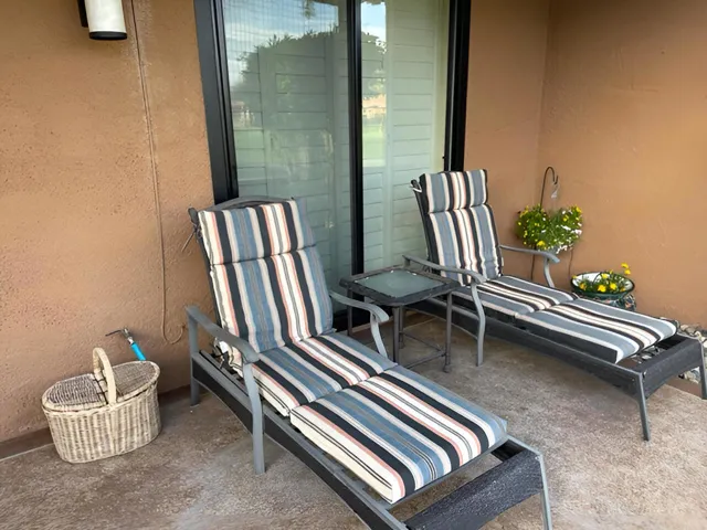 11PalmaDriveRearPatioLoungeChairs