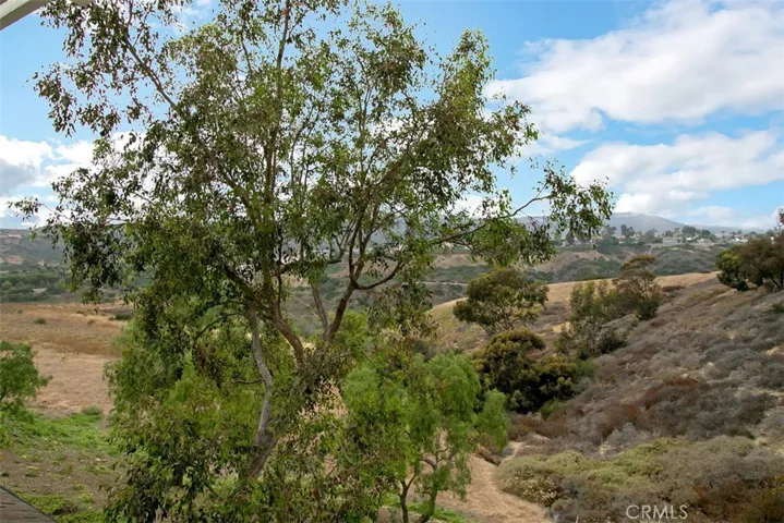 Canyon views behind Niguel Coast facing northwest. Ocean trails off Del Avion lead to Salt Creek Beach.