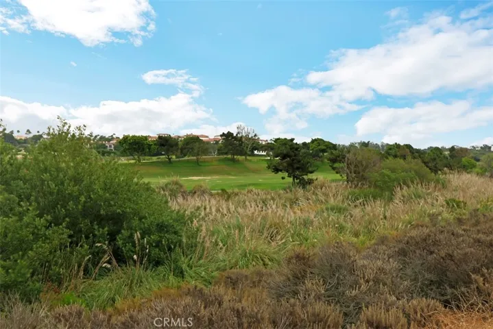 View of golf course and areas along walking path to Salt Creek Beach.
