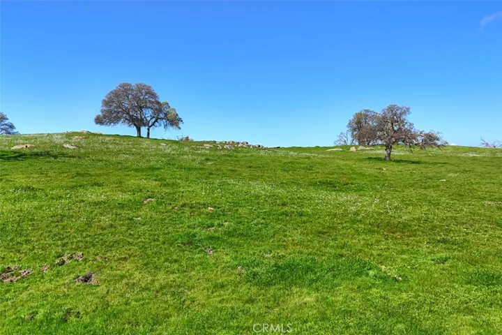 0 39.89 Ac Road 613, Raymond, California 93653