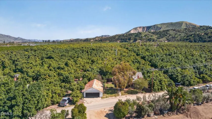 35-web-or-mls-Upmarket Media-1550San-aer