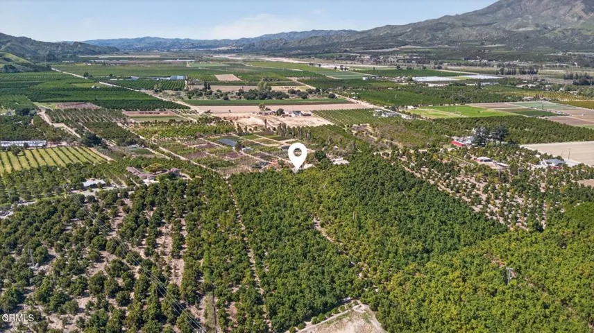 42-web-or-mls-Upmarket Media-1550San-aer