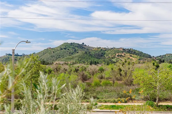 35103 Vintage Cove, Fallbrook, California 92028