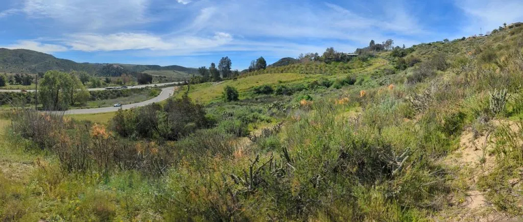 From east side of lot