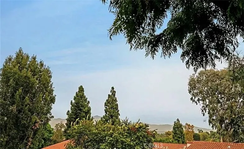 3363 Monte Hermoso, Laguna Woods, California 92637