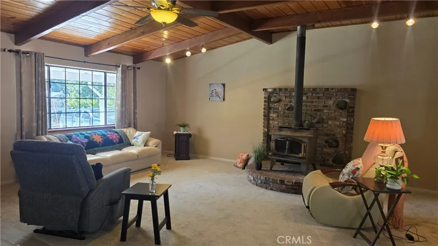 Beautiful Ceilings in Living Room